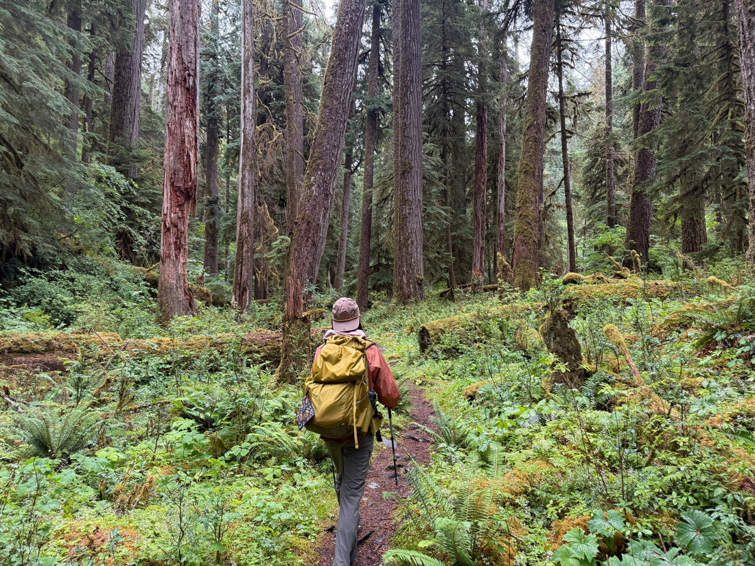 Backpacking Olympic National Park
